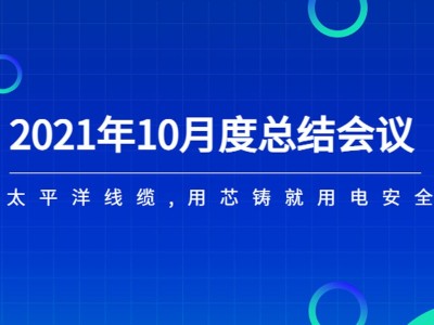 河南太平洋線纜月度總結(jié)會議